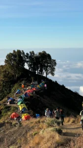 rinjani origin campsite