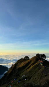 rinjani origin